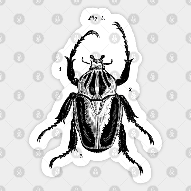 Beetle Fig 4. Sticker by LadyMorgan